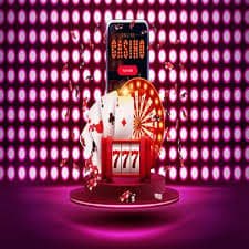 betx24 apk platform overview showing sports betting and casino sections on mobile